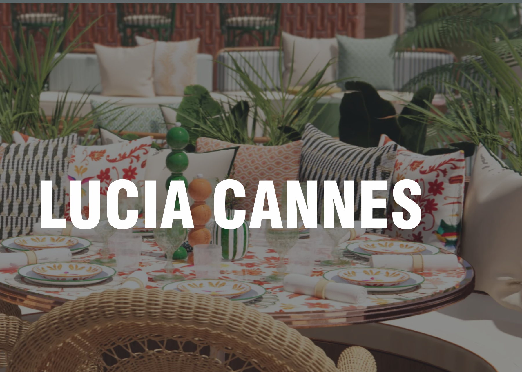 Lucia Cannes